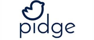 Shadowfax logo